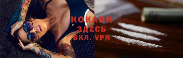 МДПВ Няндома
