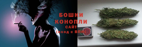 МДПВ Няндома