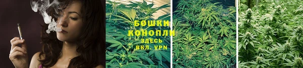 СК Нягань
