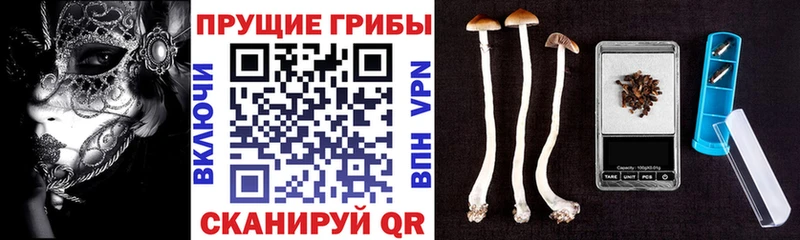 ссылка на мегу ТОР Спас-Клепики Галлюциногенные грибы Cubensis